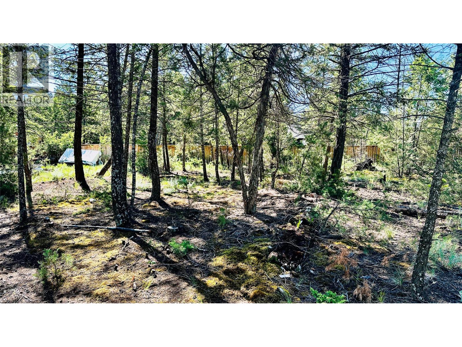 Lot 35 Copper Point Way, Windermere, British Columbia  V0B 1L1 - Photo 7 - 10390238