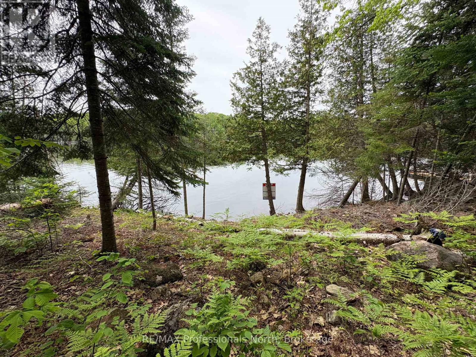 0 Poverty Bay Trail, Minden Hills, Ontario  K0M 2K0 - Photo 25 - X12940510