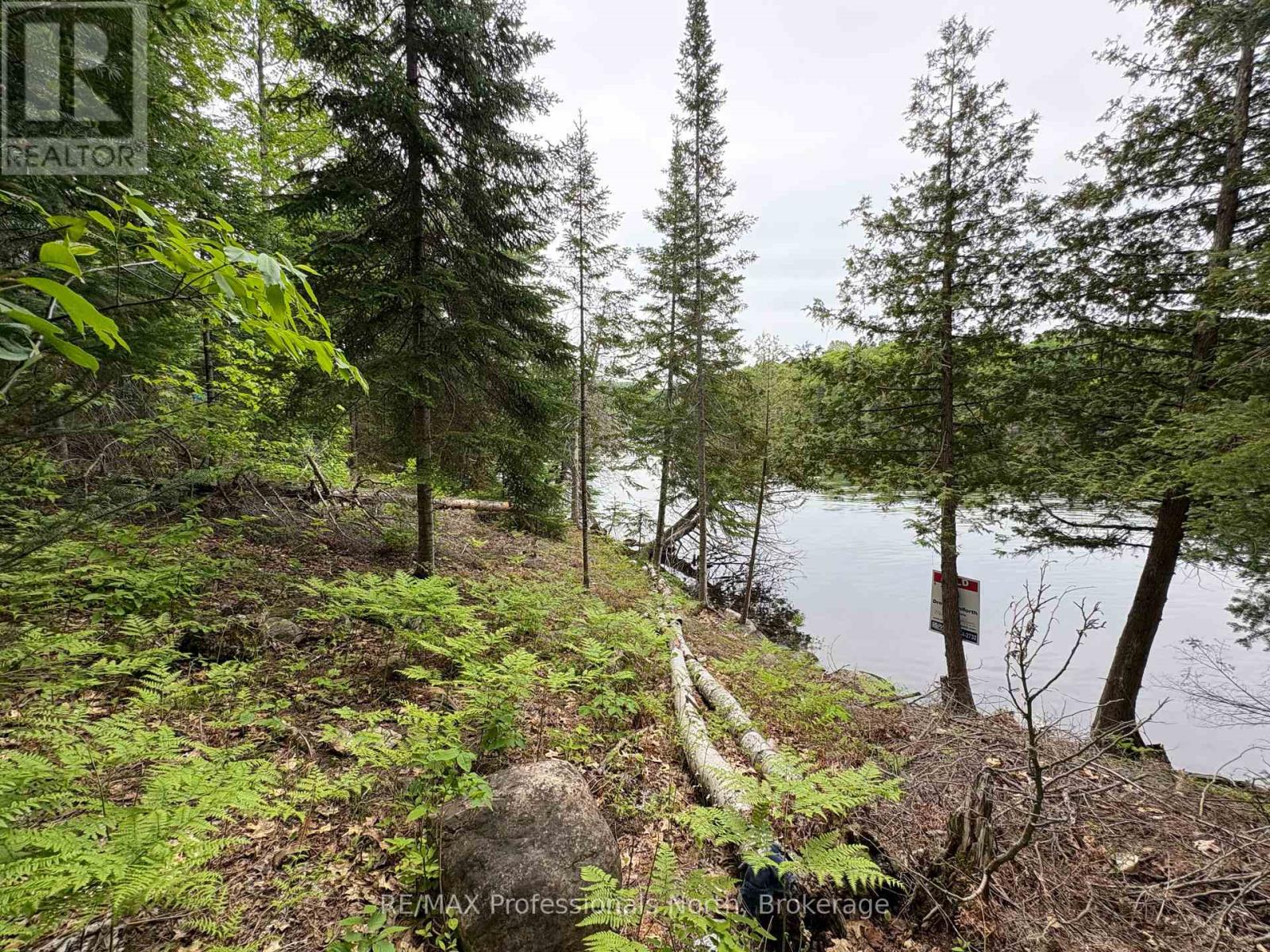 0 Poverty Bay Trail, Minden Hills, Ontario  K0M 2K0 - Photo 18 - X12940510