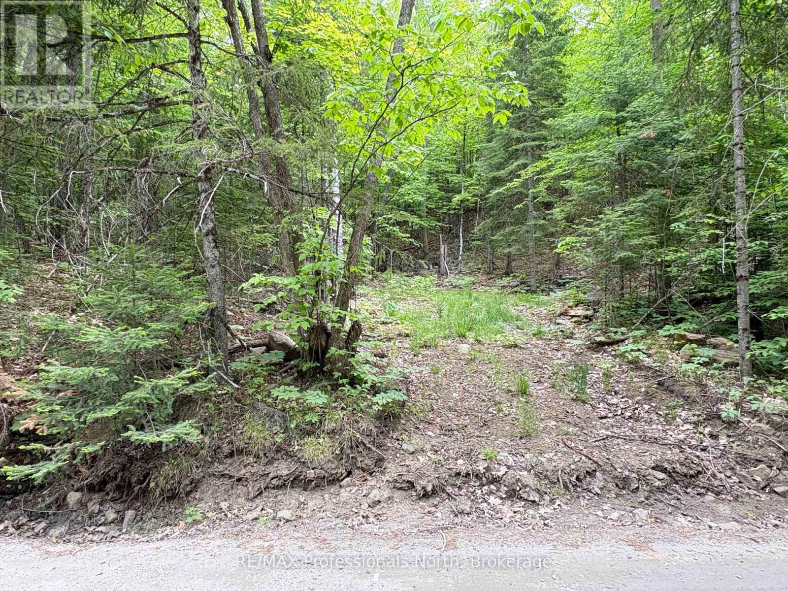 0 Poverty Bay Trail, Minden Hills, Ontario  K0M 2K0 - Photo 6 - X12940510