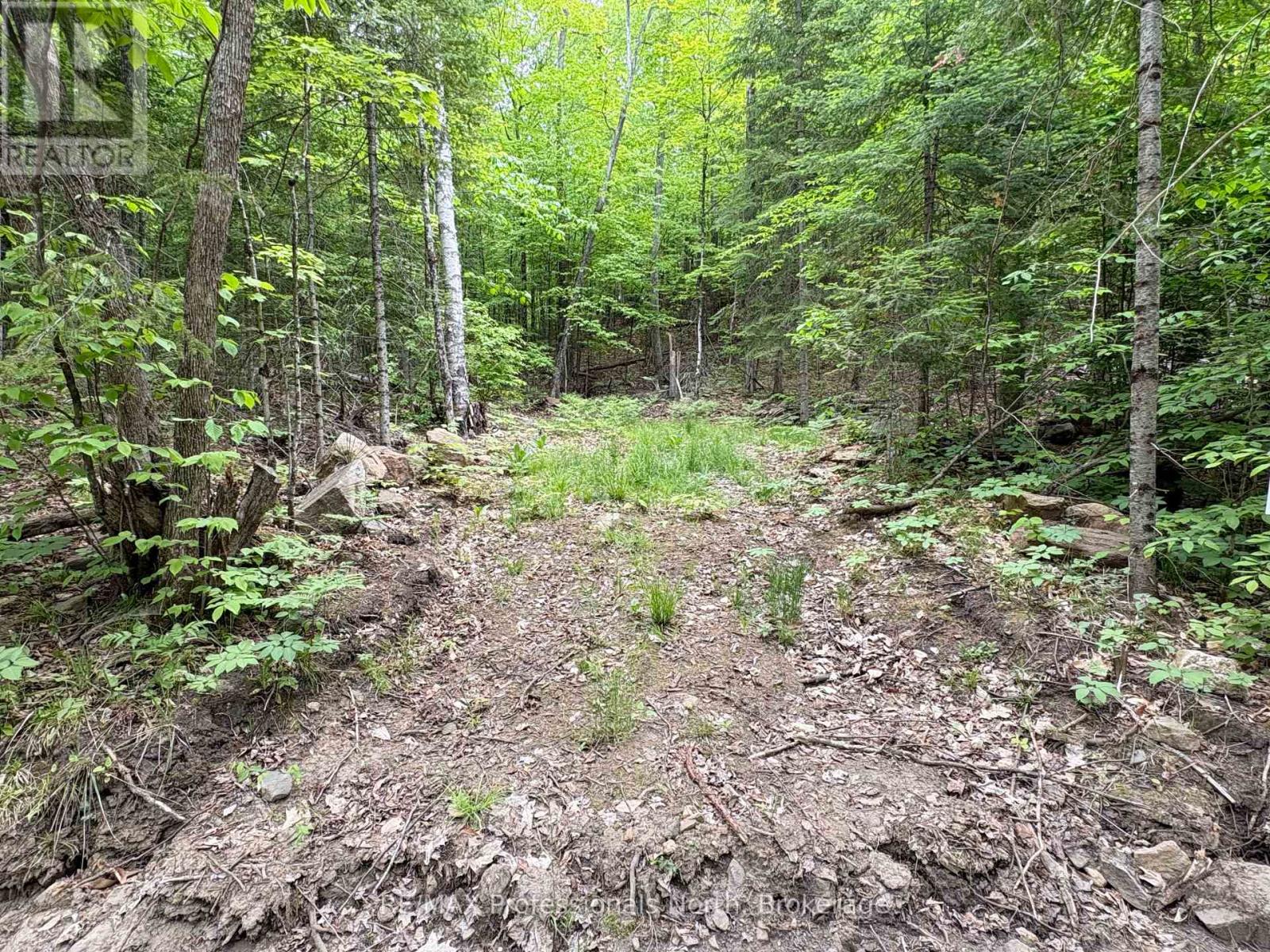 0 Poverty Bay Trail, Minden Hills, Ontario  K0M 2K0 - Photo 9 - X12940510