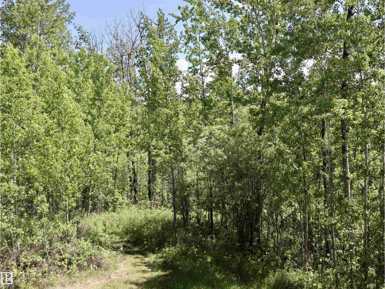 56431 Rr 25, Rural Lac Ste. Anne County, Alberta  T0E 1A0 - Photo 33 - E4492542