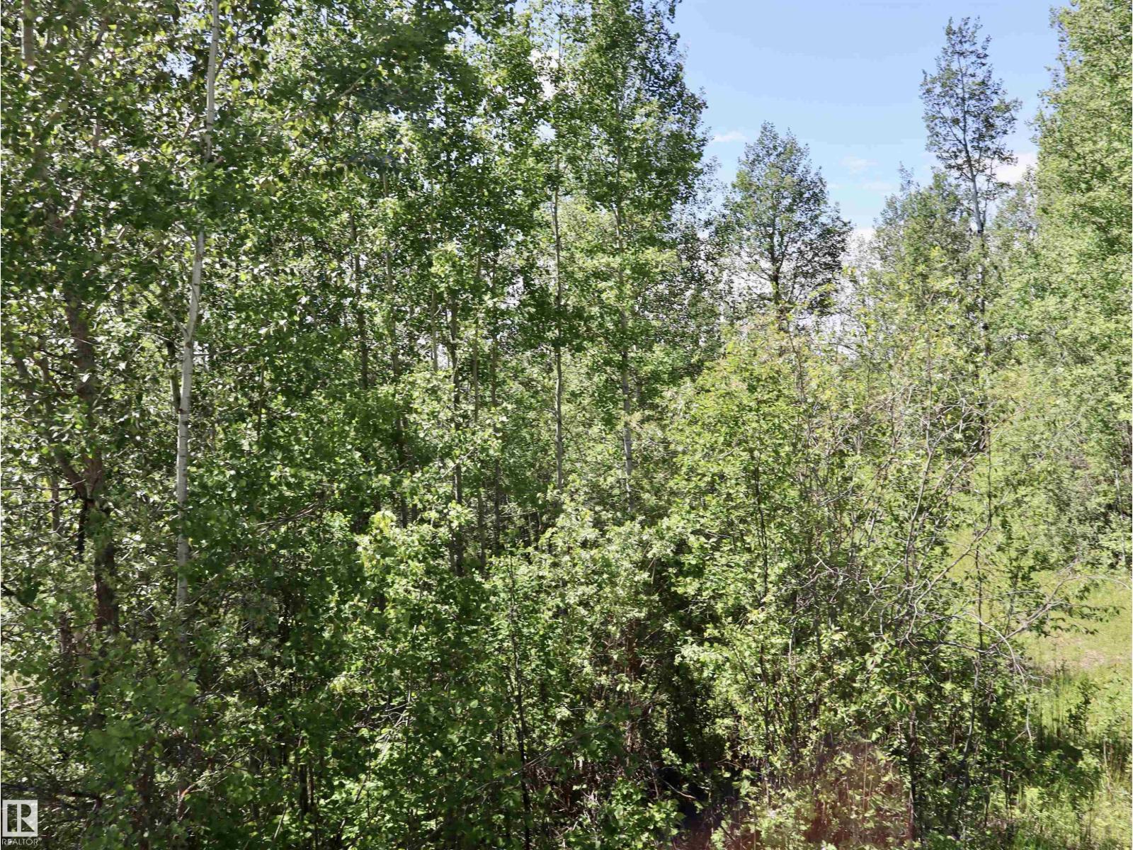 56431 Rr 25, Rural Lac Ste. Anne County, Alberta  T0E 1A0 - Photo 35 - E4492542