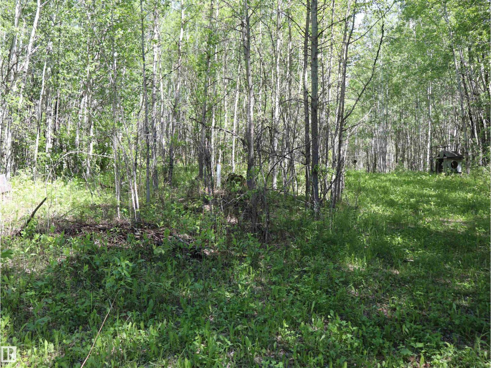 56431 Rr 25, Rural Lac Ste. Anne County, Alberta  T0E 1A0 - Photo 39 - E4492542