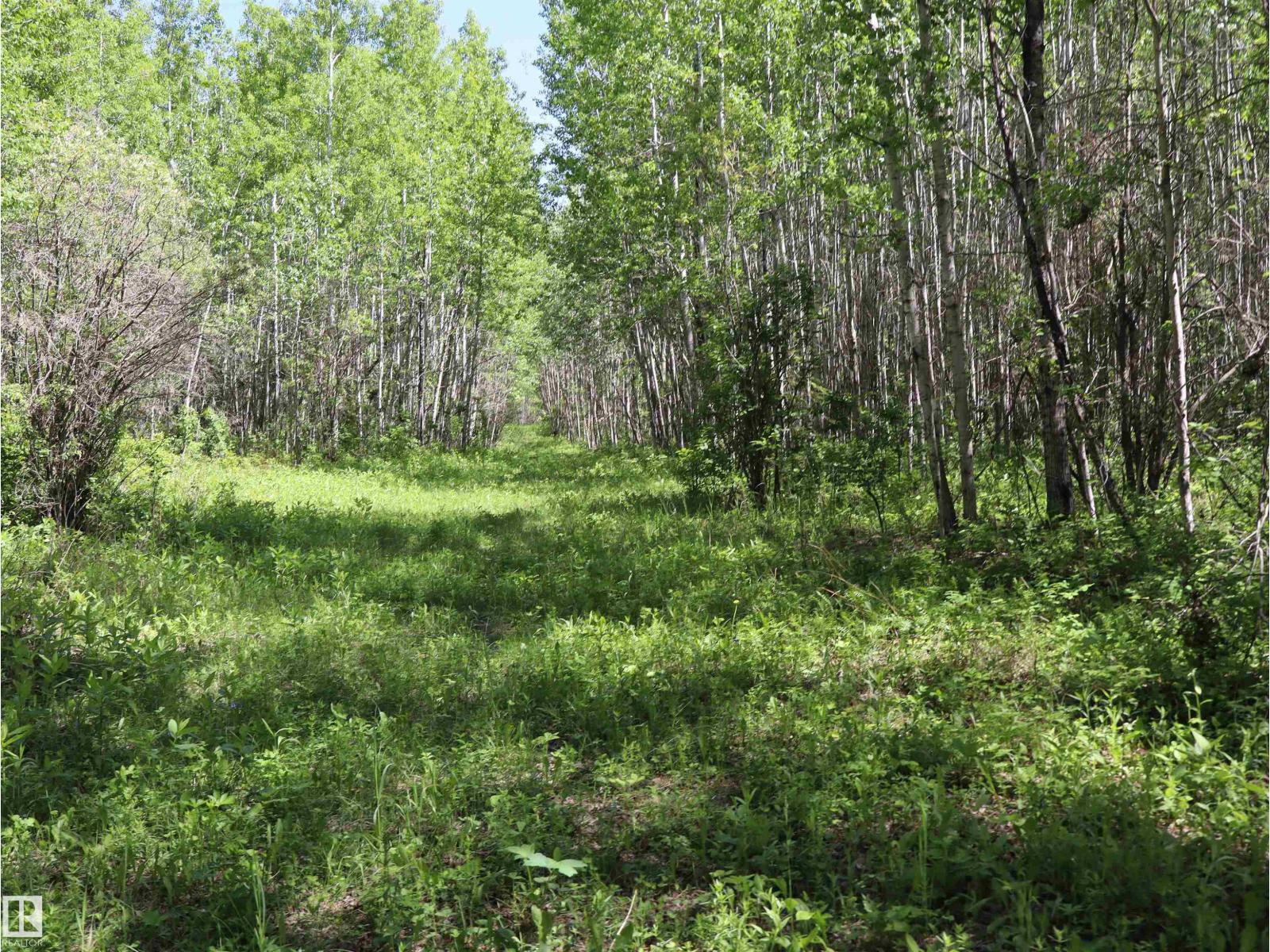 56431 Rr 25, Rural Lac Ste. Anne County, Alberta  T0E 1A0 - Photo 42 - E4492542