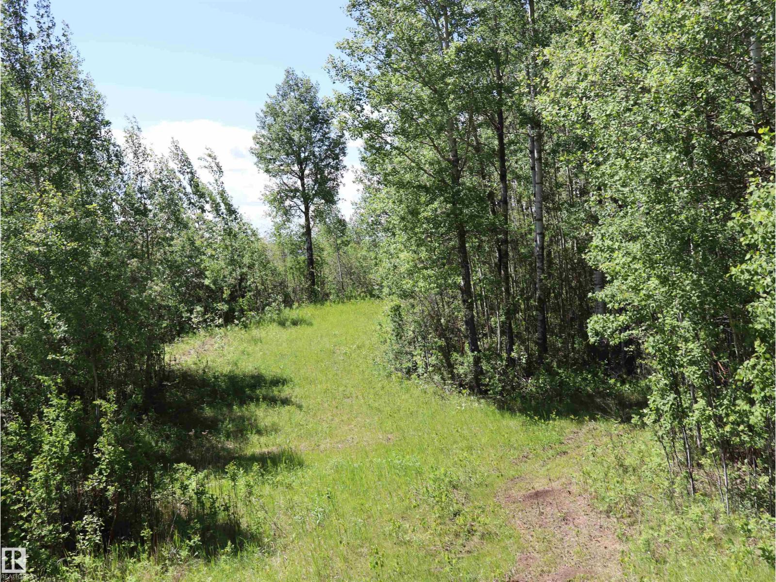 56431 Rr 25, Rural Lac Ste. Anne County, Alberta  T0E 1A0 - Photo 51 - E4492542