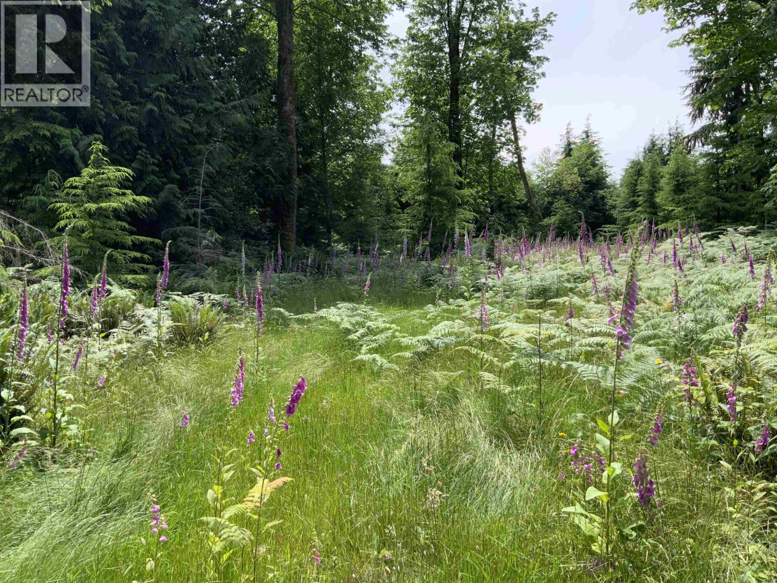 Lot I Cotton Bay Road, Gambier Island, British Columbia  V0N 1V0 - Photo 11 - R3130137