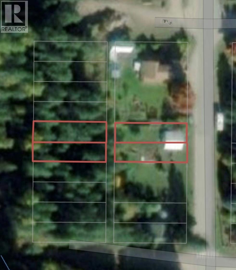 611 Slocan Street, Slocan, British Columbia V0G 2C0 - Photo 6 - 10390482