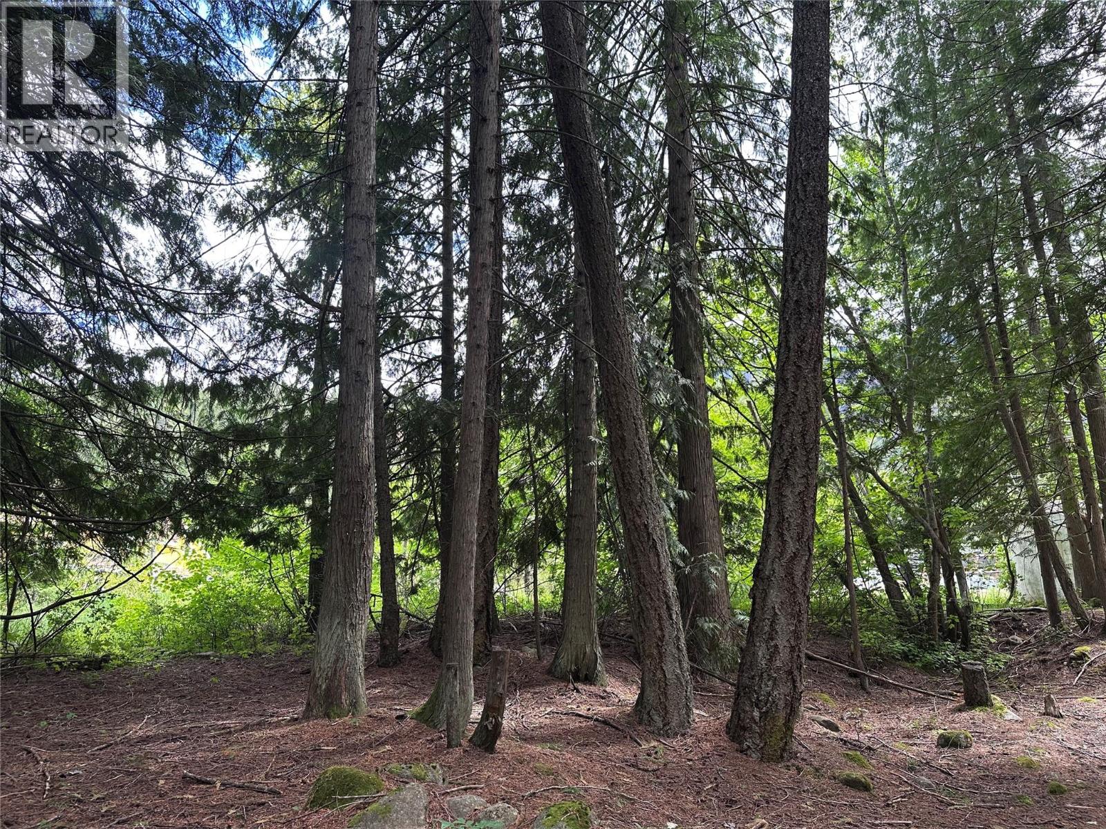 611 Slocan Street, Slocan, British Columbia V0G 2C0 - Photo 11 - 10390482