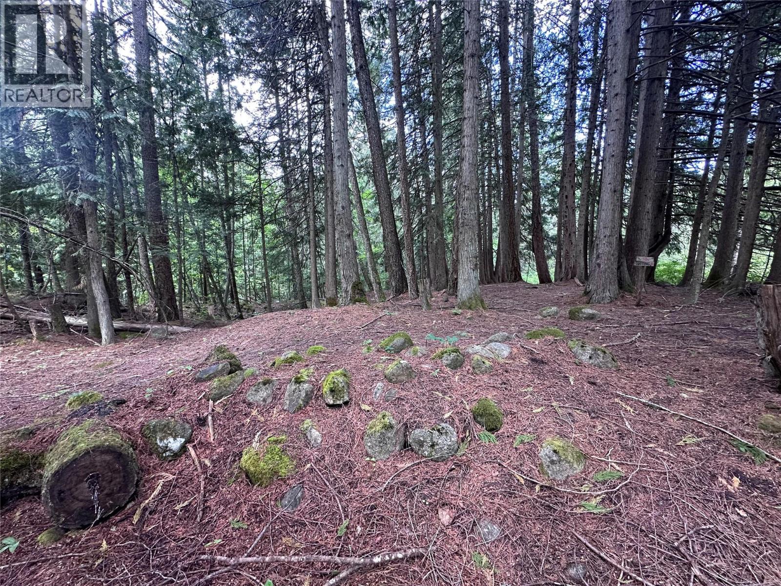 611 Slocan Street, Slocan, British Columbia V0G 2C0 - Photo 15 - 10390482