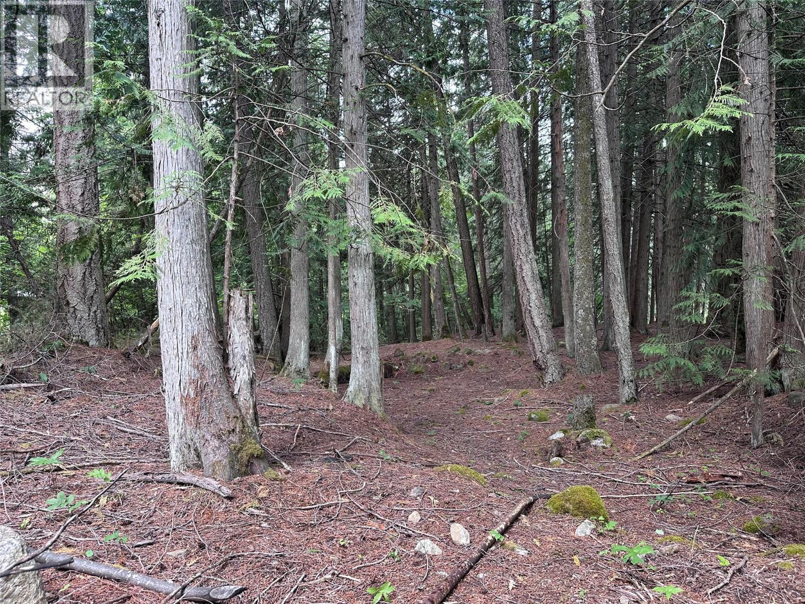611 Slocan Street, Slocan, British Columbia V0G 2C0 - Photo 14 - 10390482