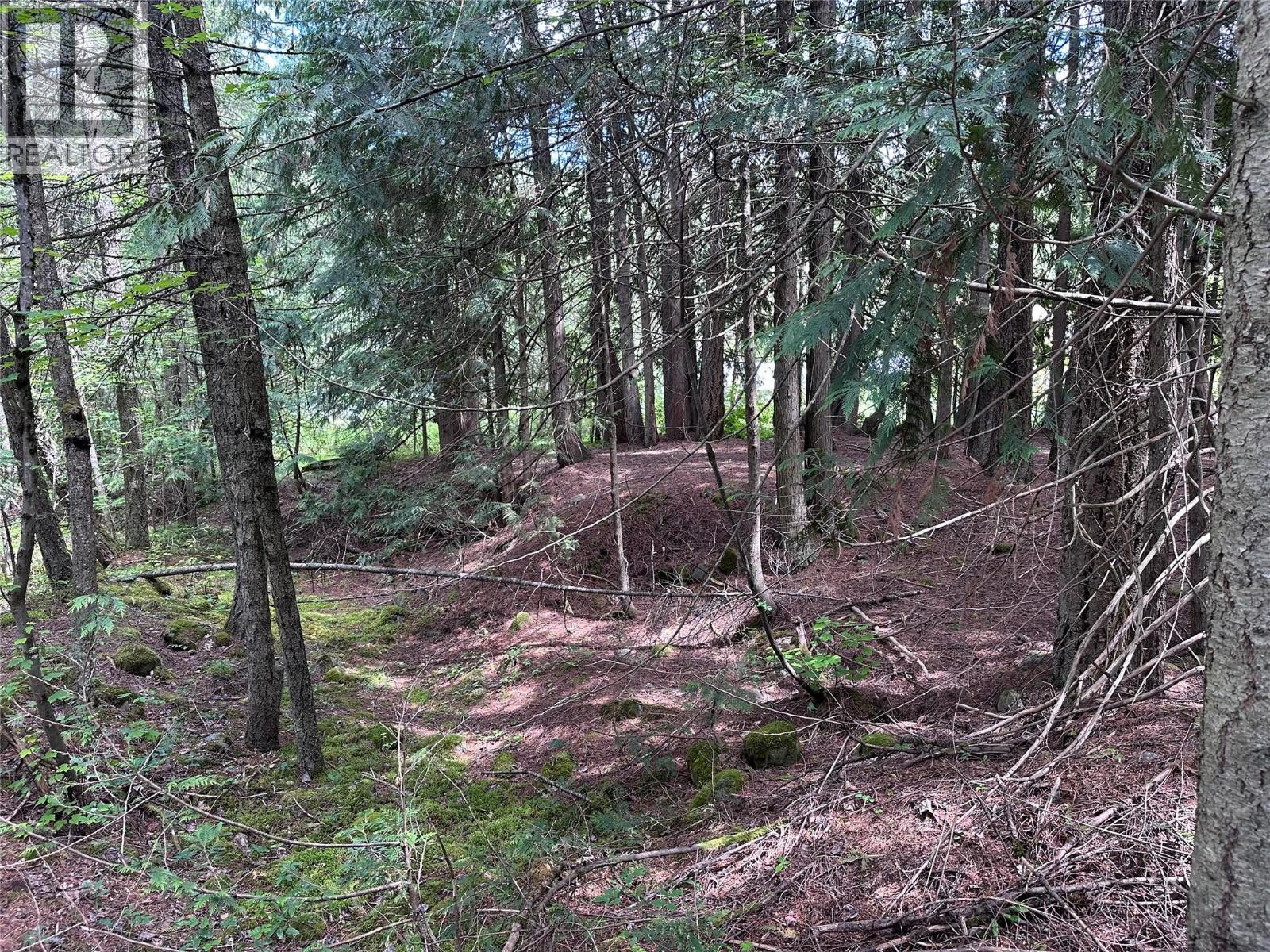 611 Slocan Street, Slocan, British Columbia V0G 2C0 - Photo 12 - 10390482