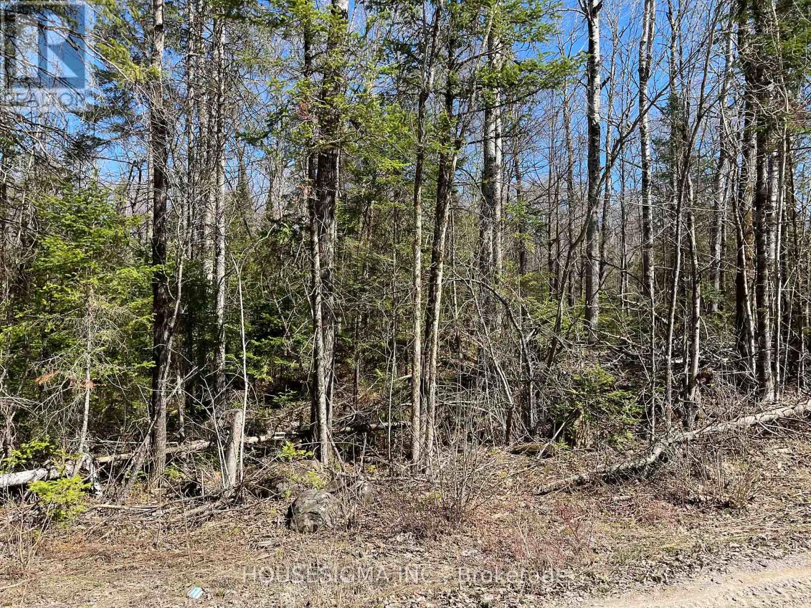 Con 14 Pt Lot 17 Ward: 01 Buller Road, Kawartha Lakes, Ontario  K0M 2L0 - Photo 10 - X13418092