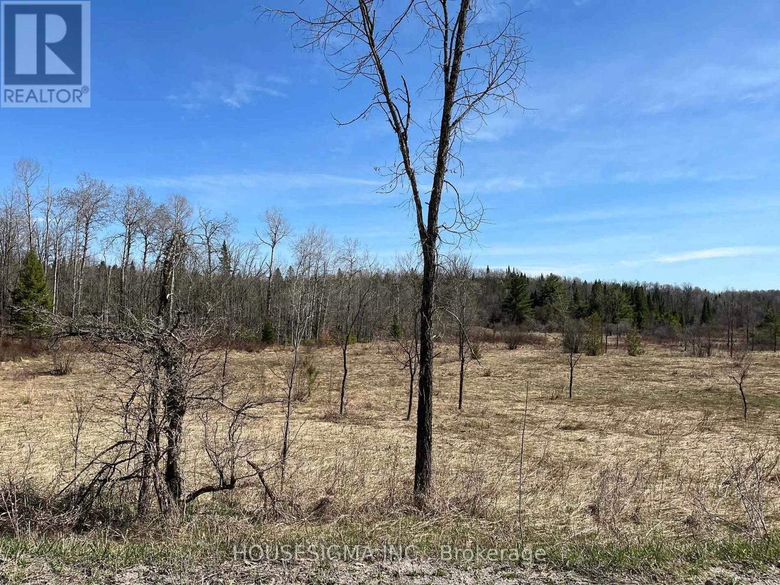 Con 14 Pt Lot 17 Ward: 01 Buller Road, Kawartha Lakes, Ontario  K0M 2L0 - Photo 11 - X13418092