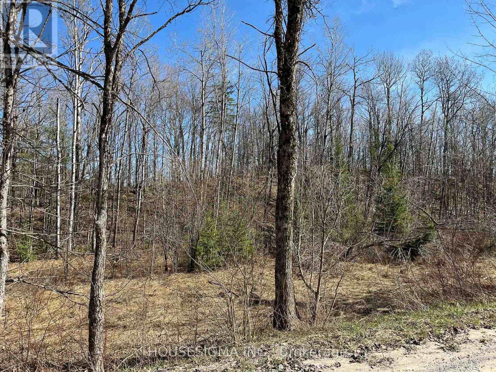Con 14 Pt Lot 17 Ward: 01 Buller Road, Kawartha Lakes, Ontario  K0M 2L0 - Photo 13 - X13418092