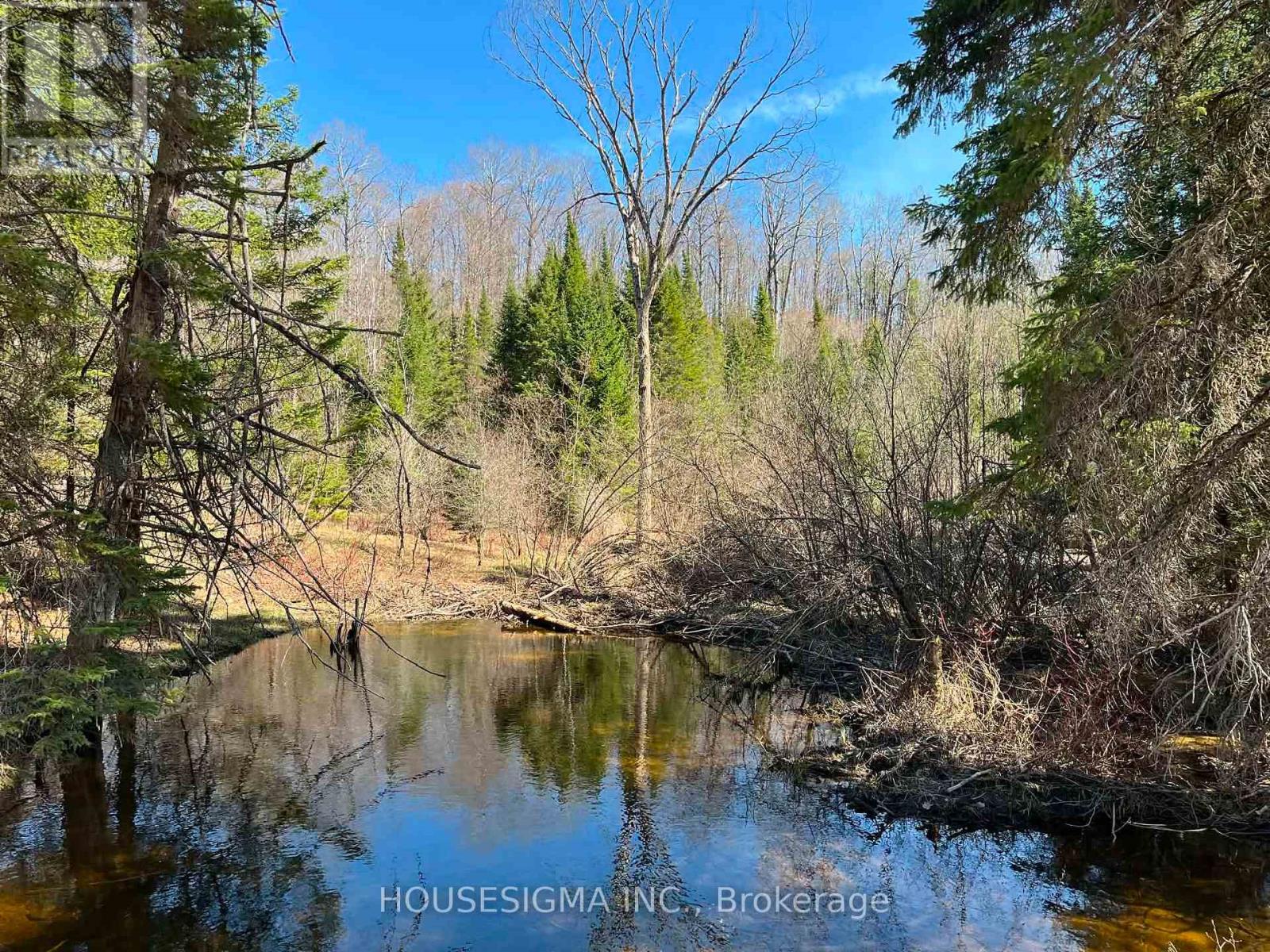 Con 14 Pt Lot 17 Ward: 01 Buller Road, Kawartha Lakes, Ontario  K0M 2L0 - Photo 14 - X13418092