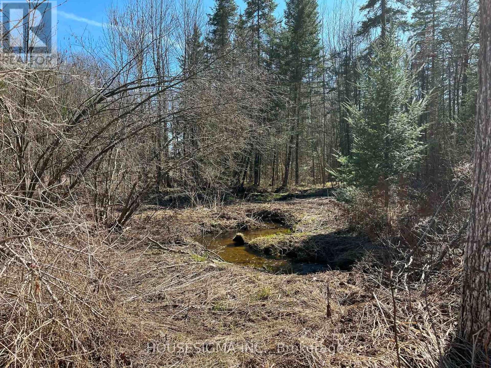 Con 14 Pt Lot 17 Ward: 01 Buller Road, Kawartha Lakes, Ontario  K0M 2L0 - Photo 15 - X13418092