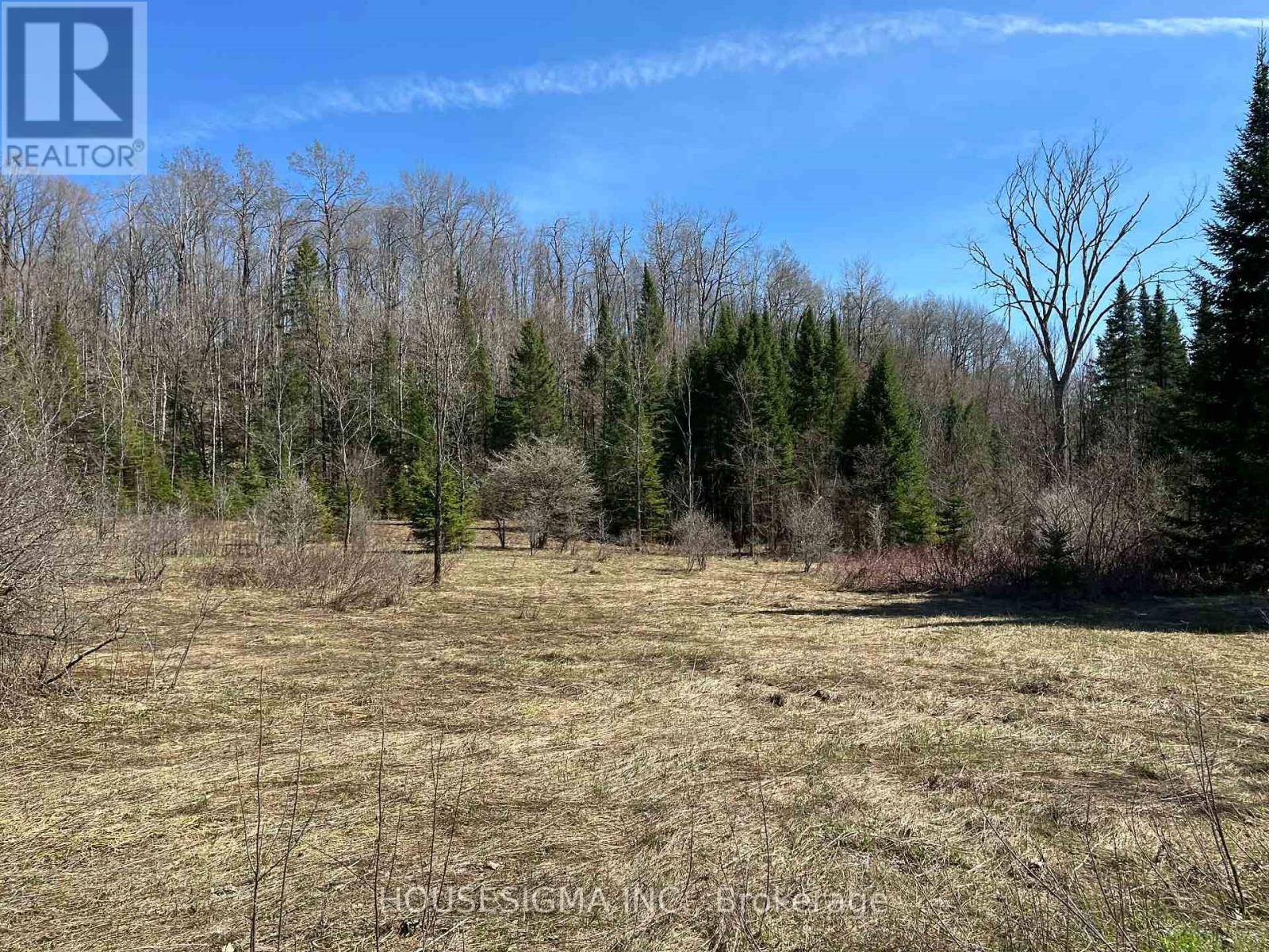 Con 14 Pt Lot 17 Ward: 01 Buller Road, Kawartha Lakes, Ontario  K0M 2L0 - Photo 16 - X13418092
