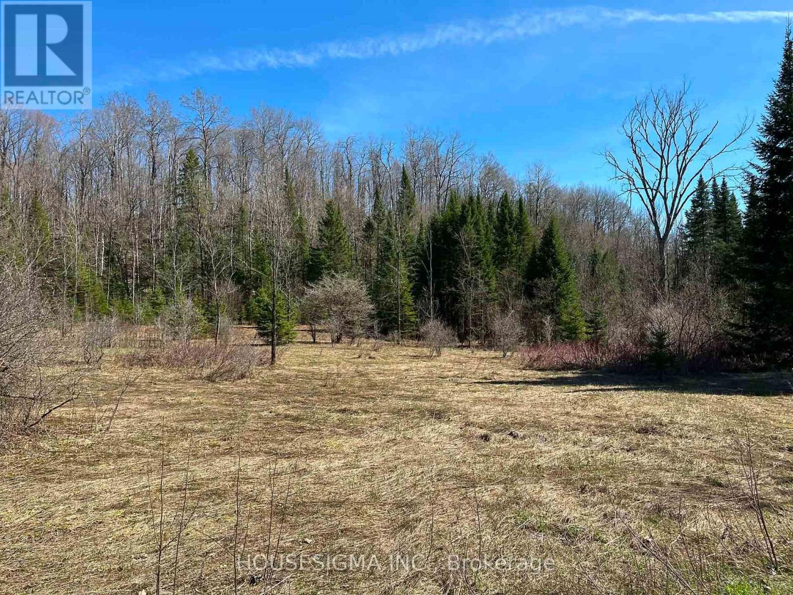 Con 14 Pt Lot 17 Ward: 01 Buller Road, Kawartha Lakes, Ontario  K0M 2L0 - Photo 3 - X13418092