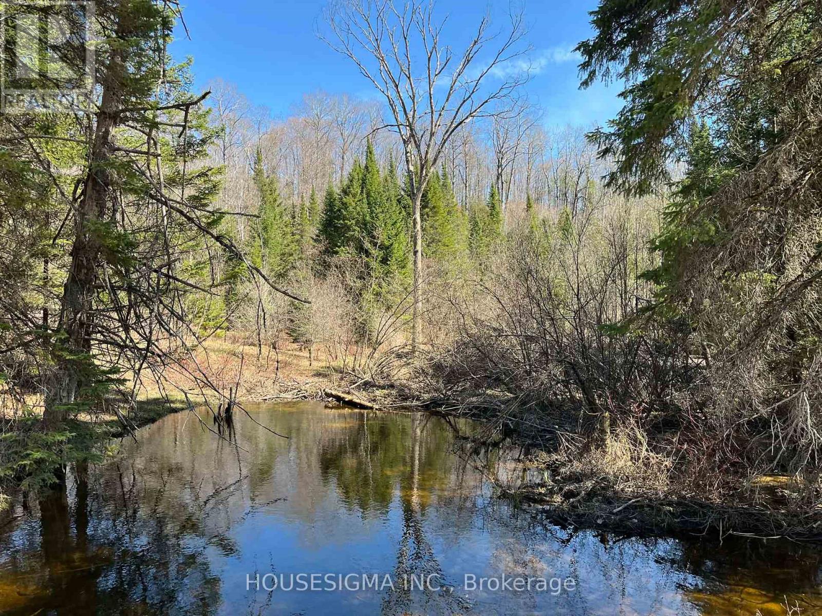 Con 14 Pt Lot 17 Ward: 01 Buller Road, Kawartha Lakes, Ontario  K0M 2L0 - Photo 8 - X13418092
