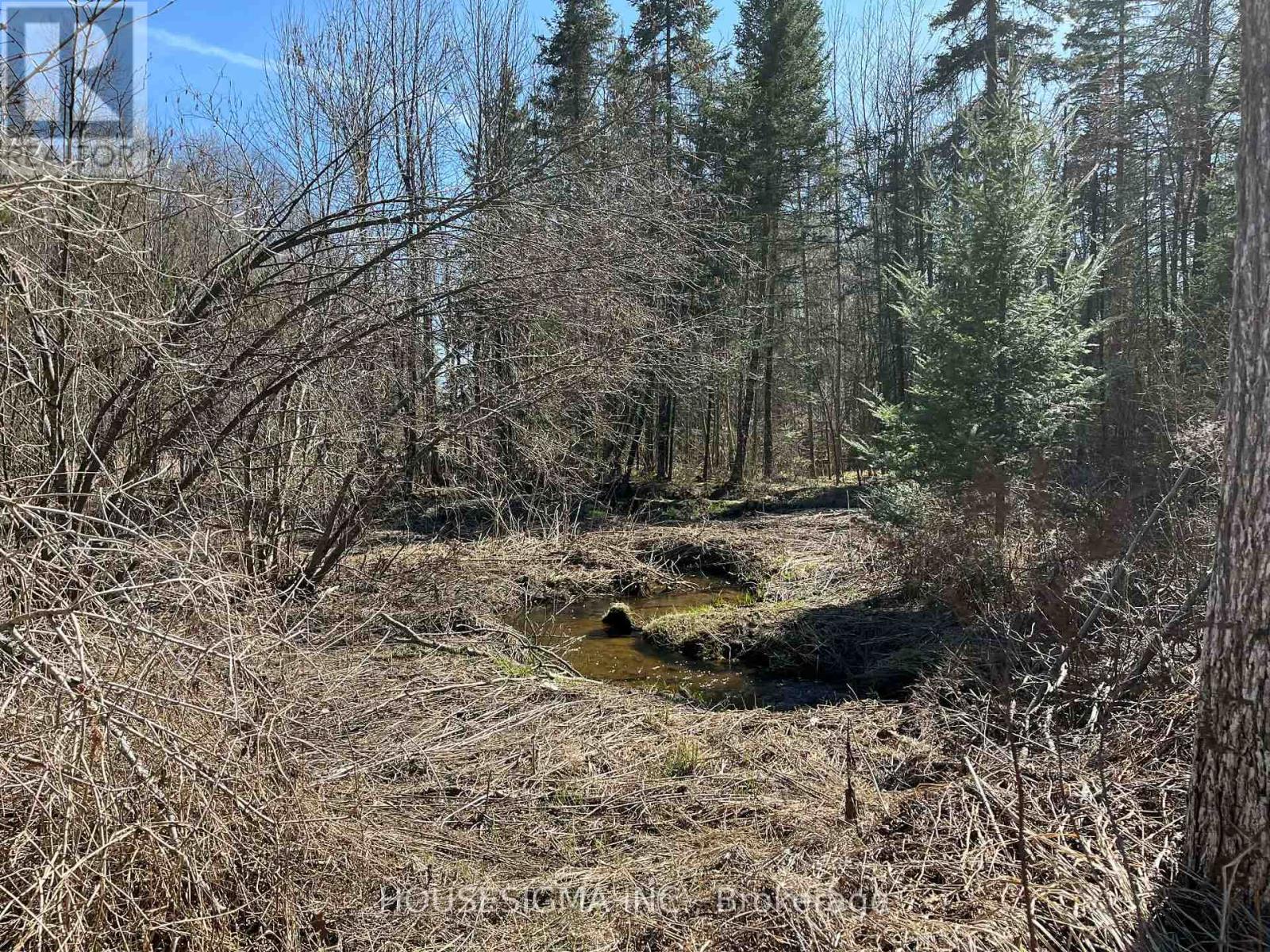Con 14 Pt Lot 17 Ward: 01 Buller Road, Kawartha Lakes, Ontario  K0M 2L0 - Photo 9 - X13418092