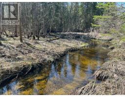 CON 14 PT LOT 17 WARD: 01 BULLER ROAD, Kawartha Lakes, Ontario