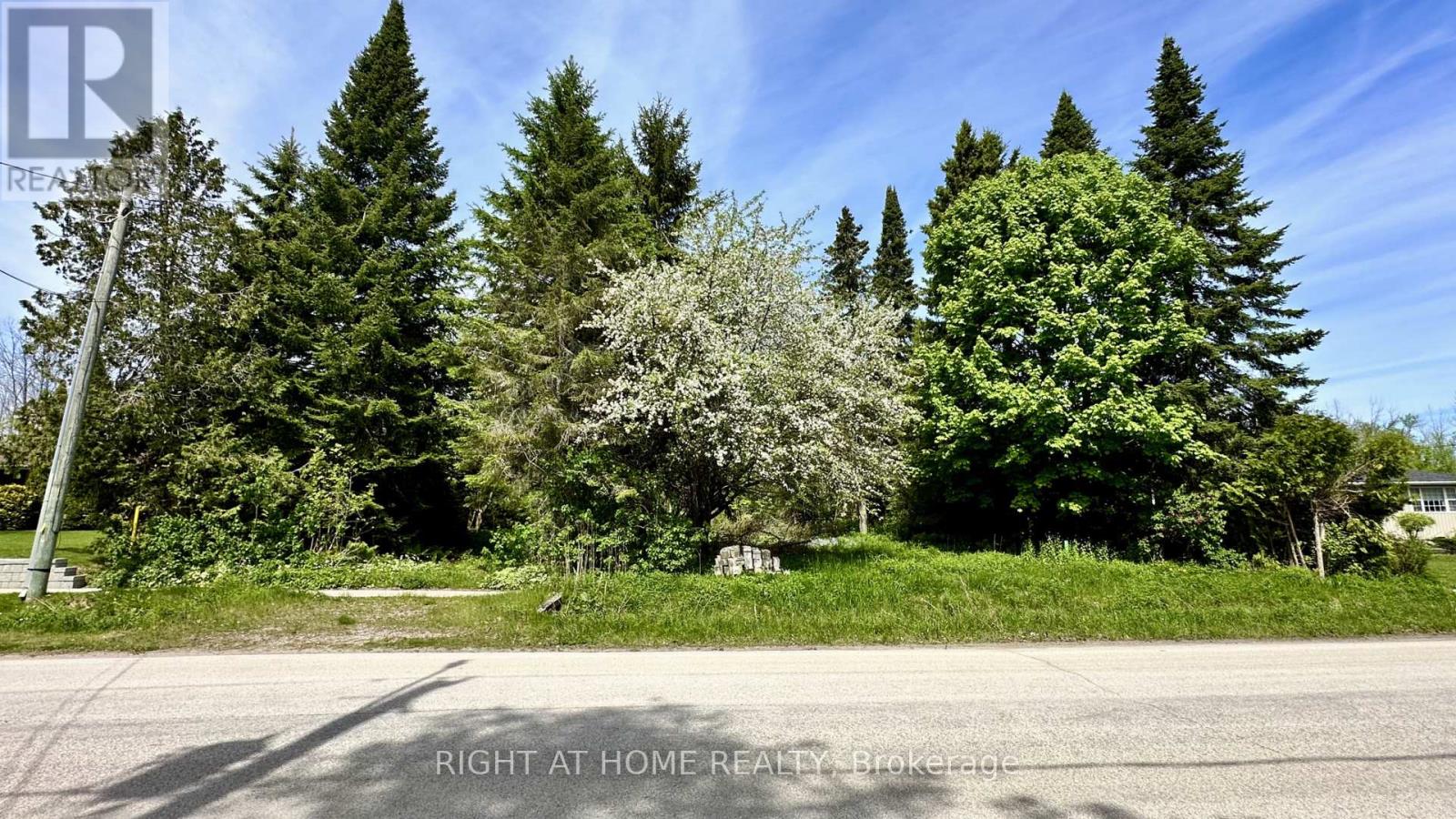 2802 Ireton Street, Innisfil, Ontario  L9S 2J2 - Photo 4 - N13418212