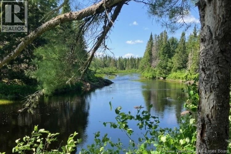 0 Digdeguash River, Rollingdam, New Brunswick  E5A 2K5 - Photo 5 - NB141168