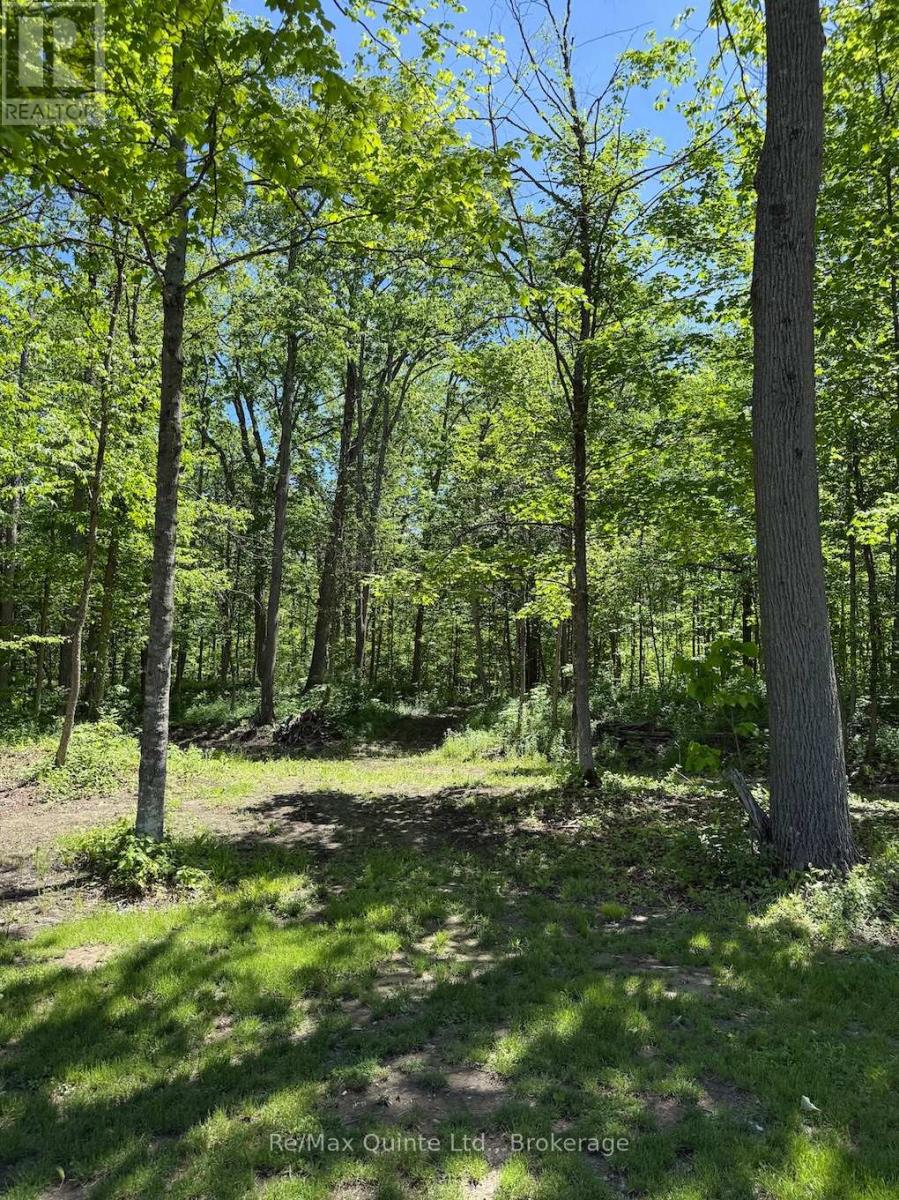 14184 Highway 62, Madoc, Ontario  K0K 2K0 - Photo 24 - X13206652