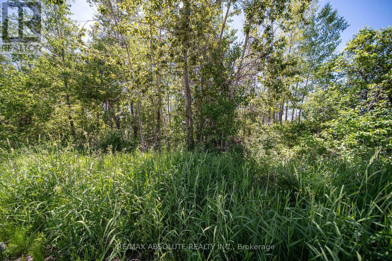 Part Lot 21 Concession 2 3 Road, North Stormont, Ontario  K0C 1C0 - Photo 8 - X13418254