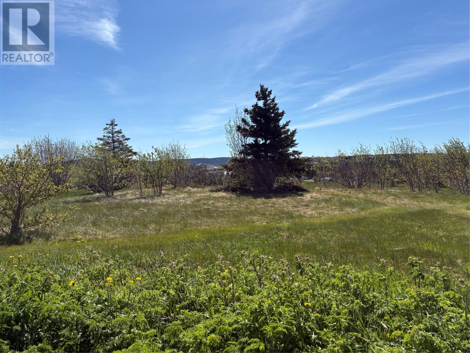 3 Evening's Path, Torbay, Newfoundland & Labrador  A1K 1J4 - Photo 11 - 1298595