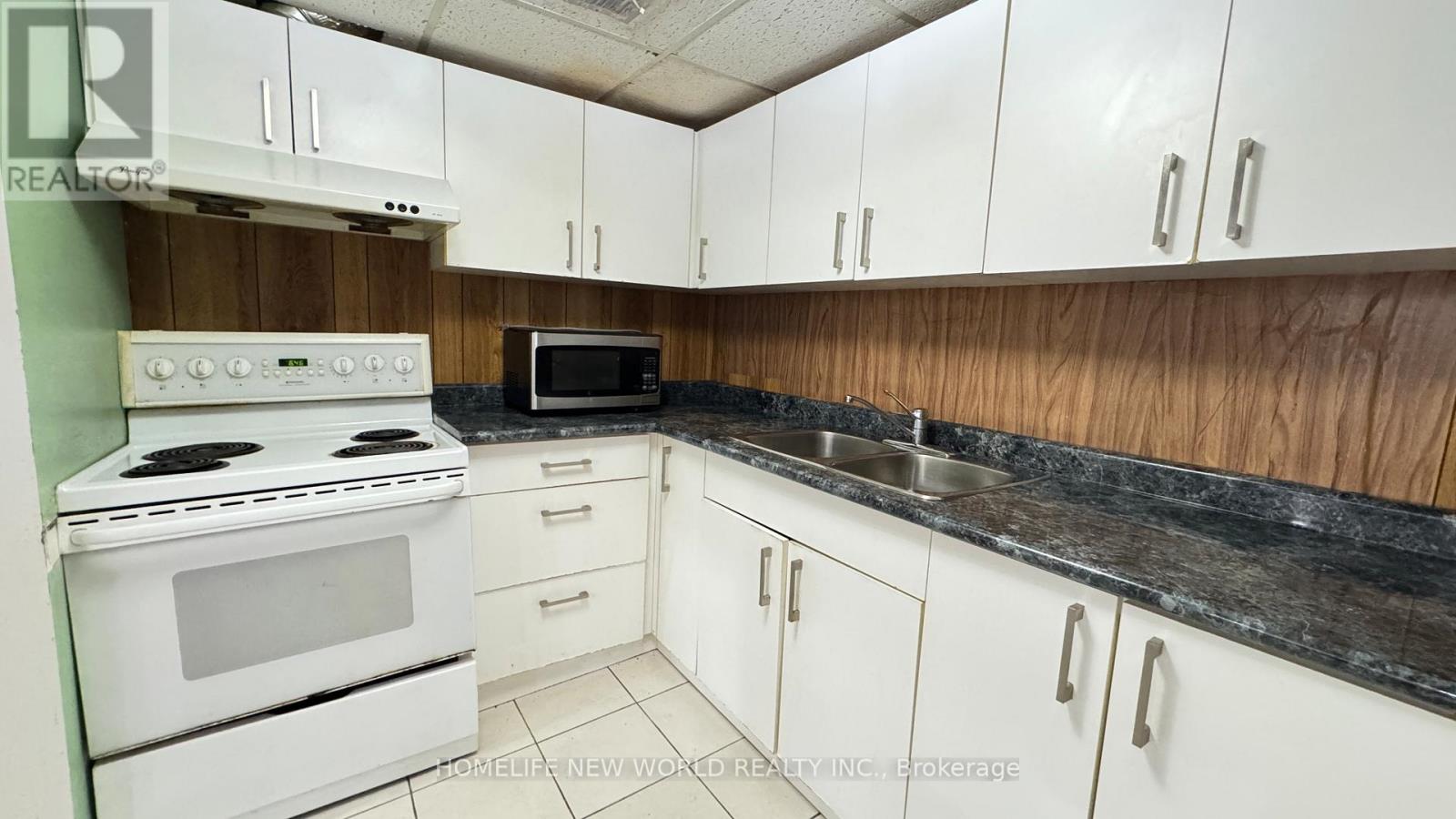 Lower - 326 Crosby Avenue, Richmond Hill, Ontario L4C 2R7 - Photo 5 - N13418238