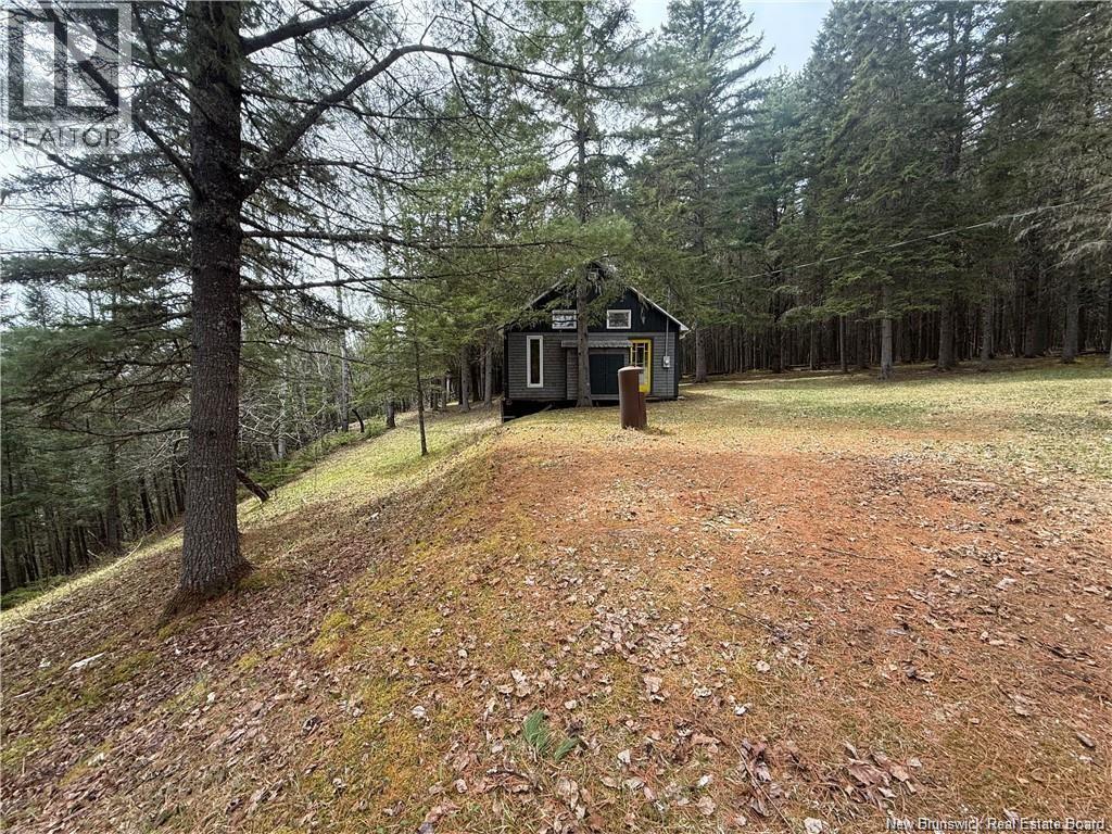 1194 Route 385, Oxbow, New Brunswick  E7G 3L8 - Photo 19 - NB141378
