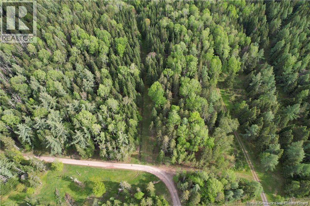 1194 Route 385, Oxbow, New Brunswick  E7G 3L8 - Photo 25 - NB141378