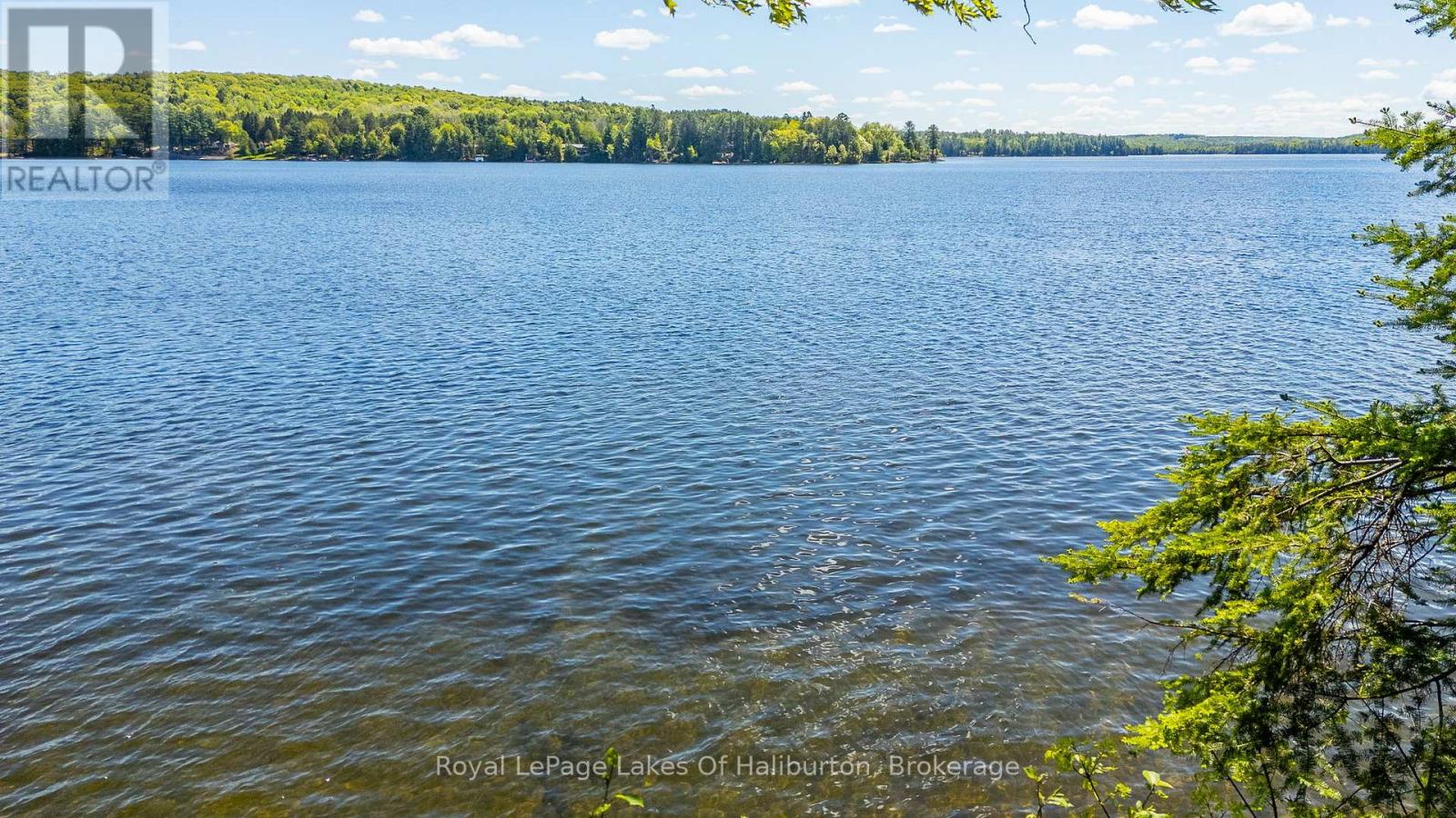 1272 Boshkung Lake Road, Algonquin Highlands, Ontario  K0M 1S0 - Photo 43 - X13234212