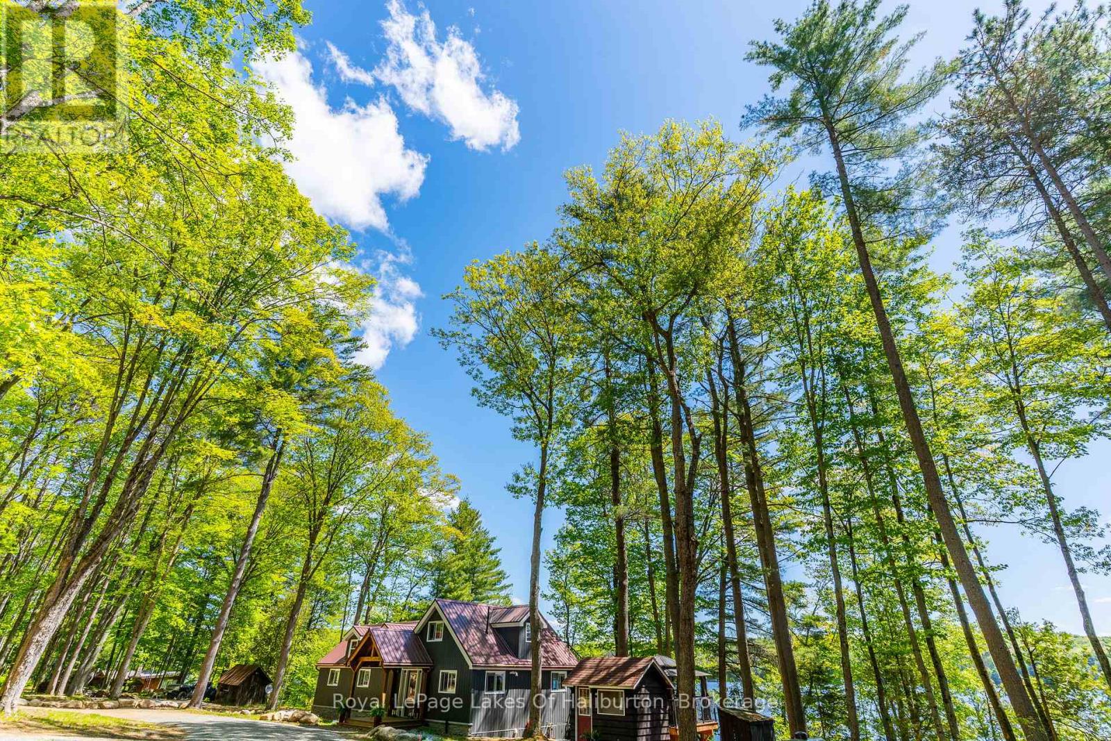 1272 Boshkung Lake Road, Algonquin Highlands, Ontario  K0M 1S0 - Photo 44 - X13234212