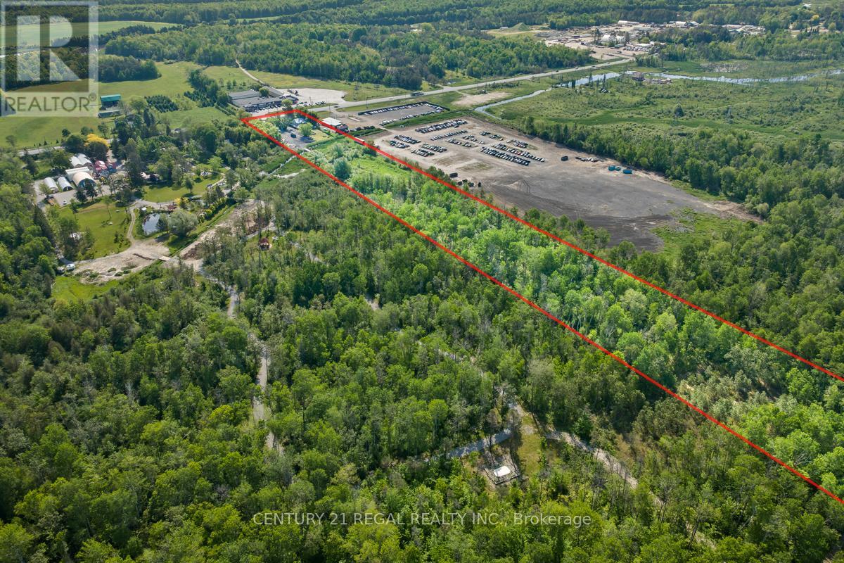 23772 Highway 48, Georgina, Ontario  L0E 1A0 - Photo 20 - N13231600