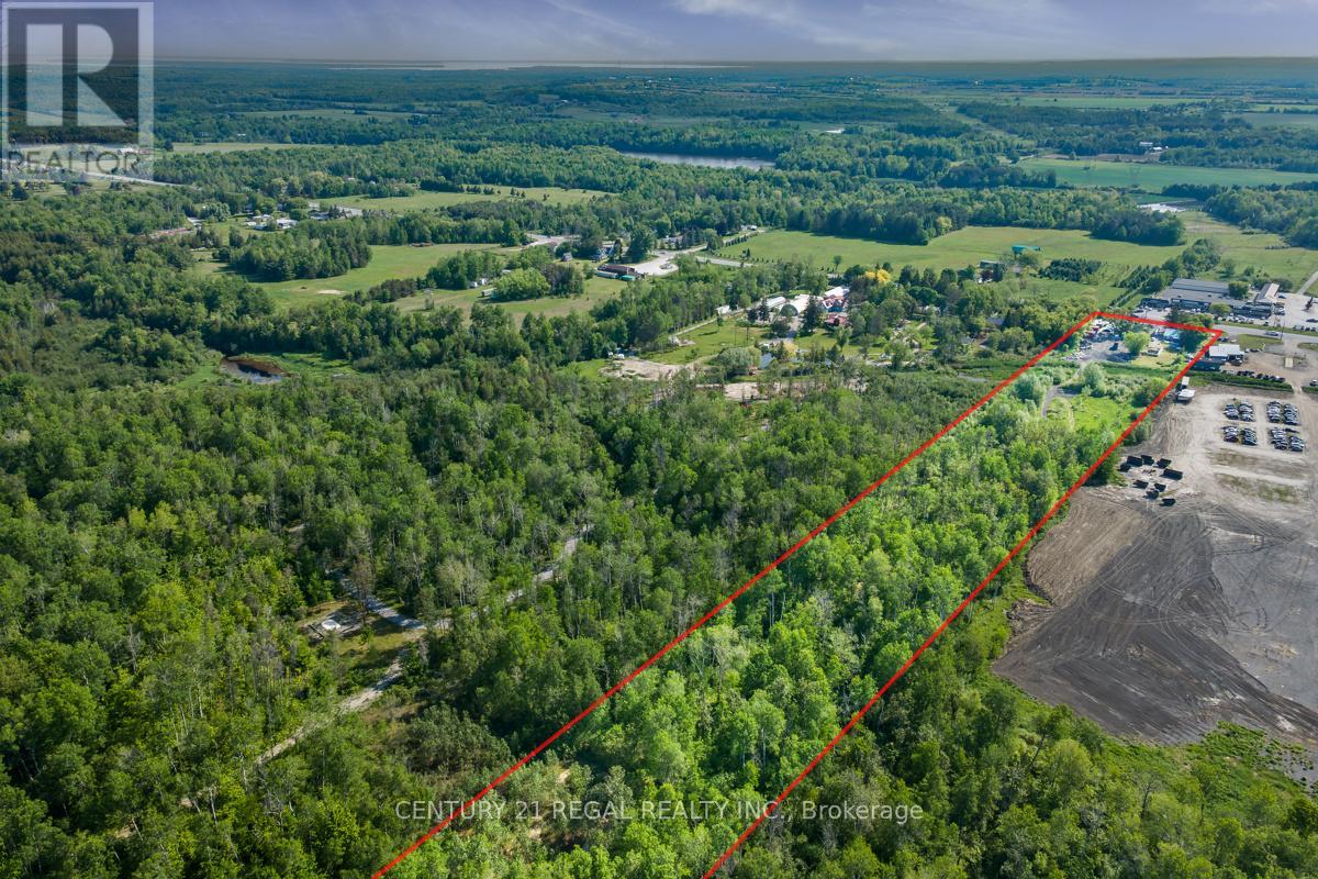 23772 Highway 48, Georgina, Ontario  L0E 1A0 - Photo 16 - N13231600