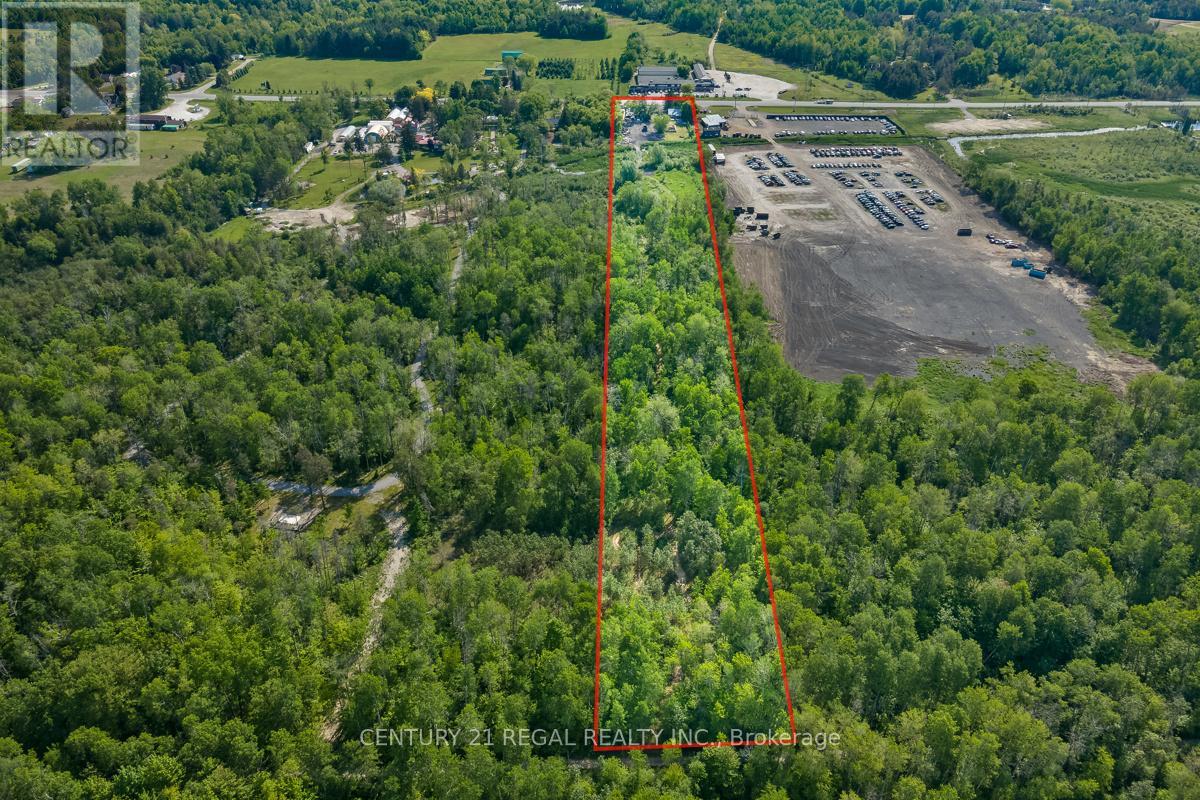 23772 Highway 48, Georgina, Ontario  L0E 1A0 - Photo 19 - N13231600