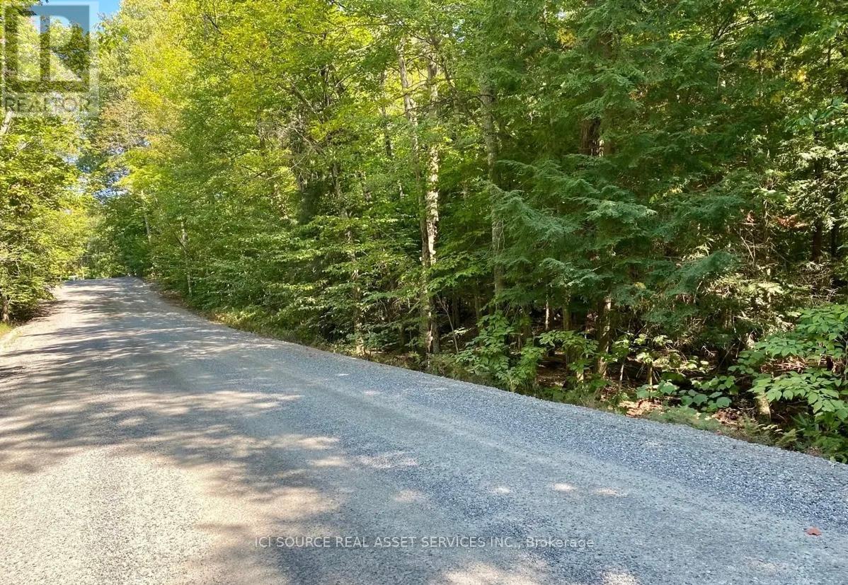 0 Point Ideal Road, Lake Of Bays, Ontario  P0A 1H0 - Photo 5 - X13124648