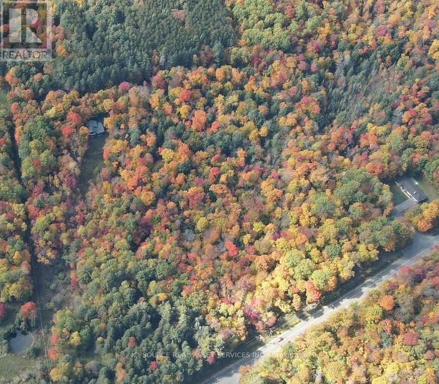 0 Point Ideal Road, Lake Of Bays, Ontario  P0A 1H0 - Photo 3 - X13124648