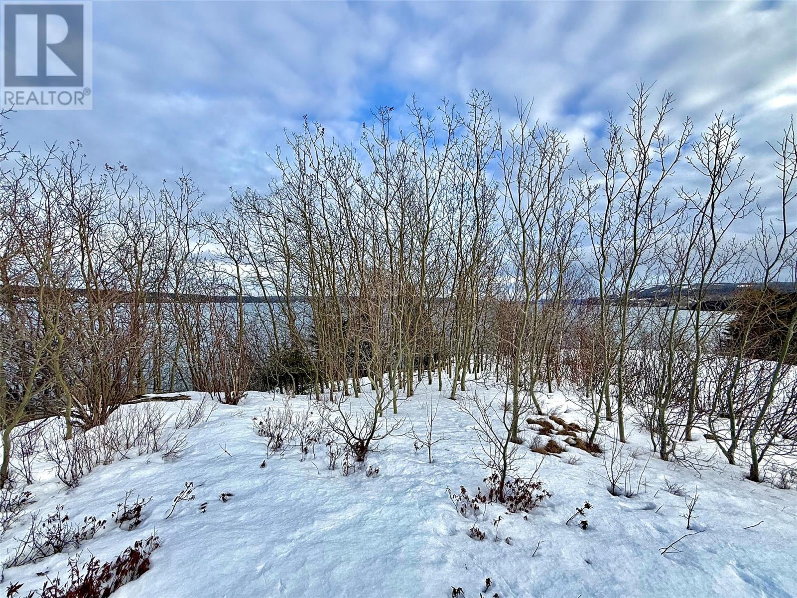 117 Marine Drive, Clarenville, Newfoundland & Labrador  A5A 1M6 - Photo 3 - 1294653