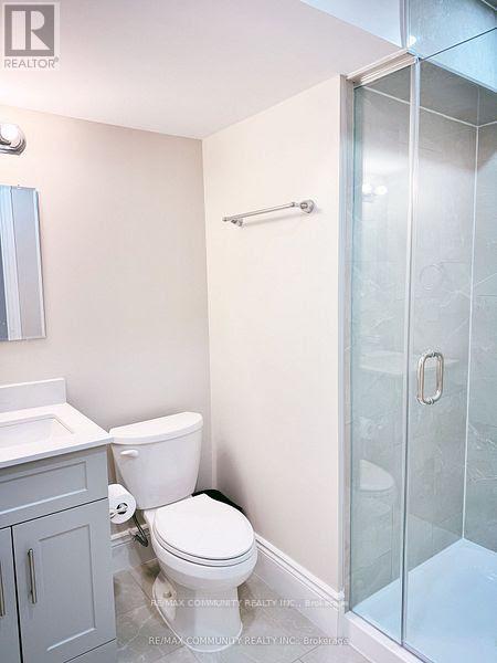 Basement - 19 Yvette Street Nw, Whitby, Ontario  L1P 0G8 - Photo 3 - E13418780