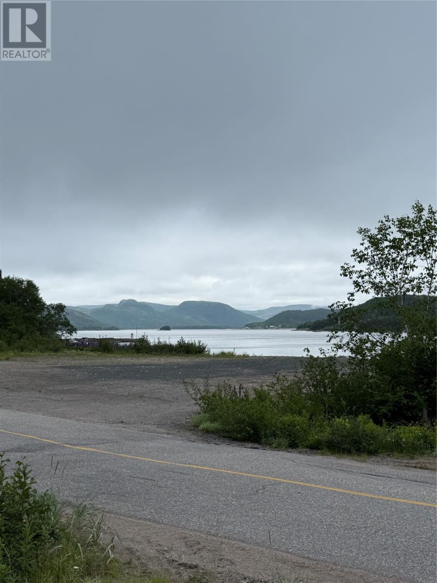 20 Black River Road, Black River, Newfoundland & Labrador  A0E 2W0 - Photo 5 - 1298512
