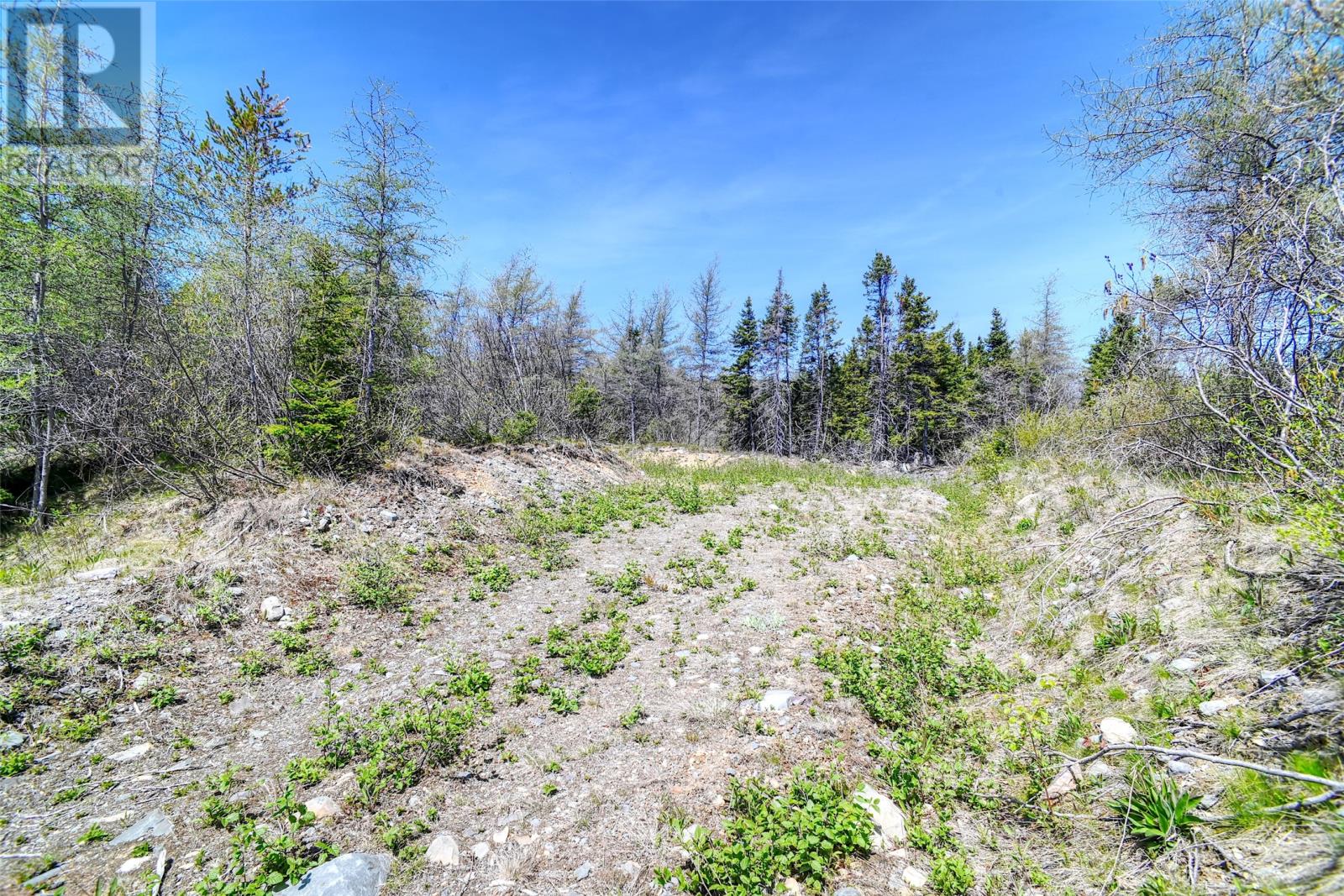 0 Country Road, Bay Roberts, Newfoundland & Labrador  A0A 1G0 - Photo 3 - 1298660