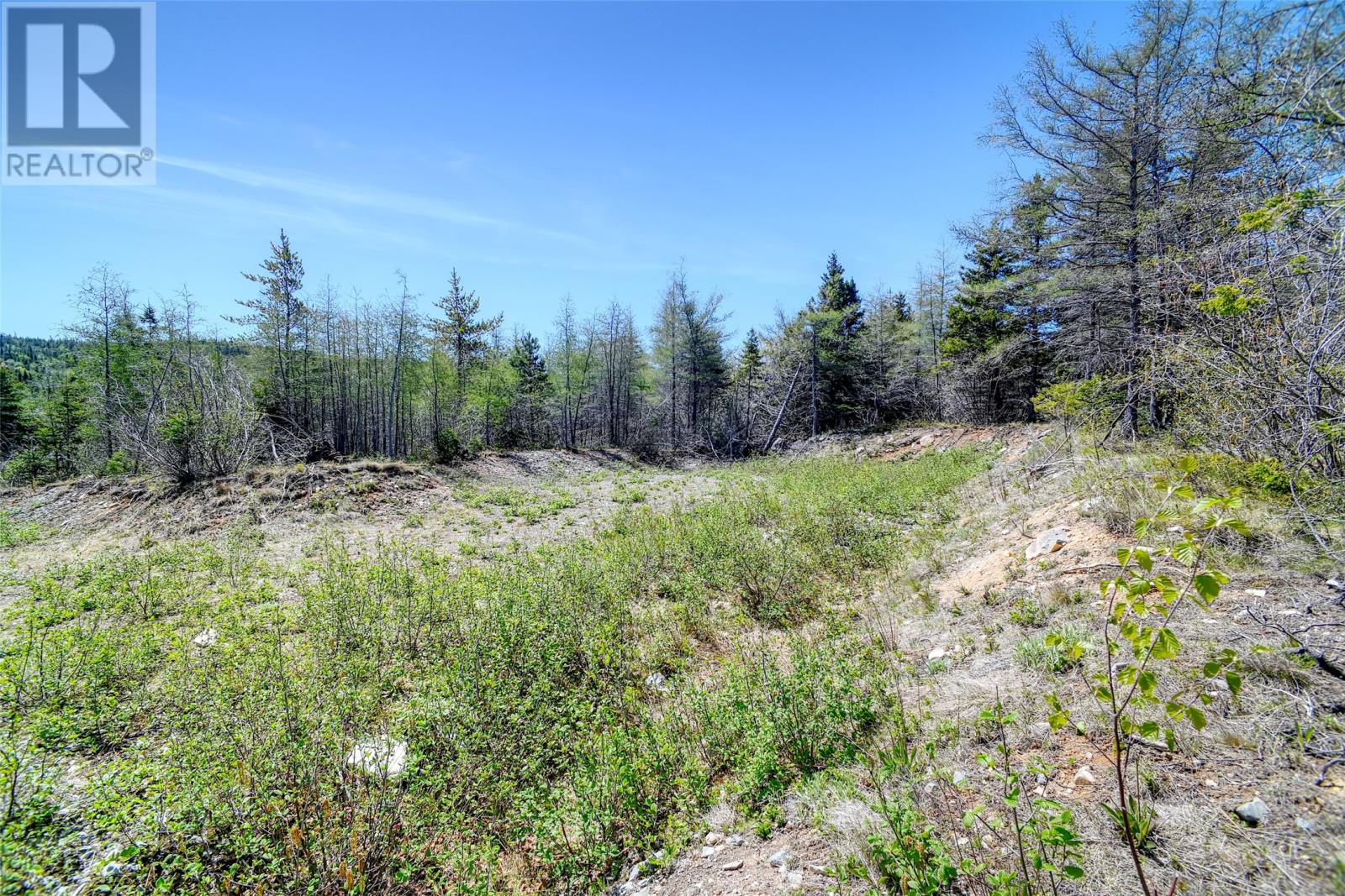 0 Country Road, Bay Roberts, Newfoundland & Labrador  A0A 1G0 - Photo 5 - 1298660