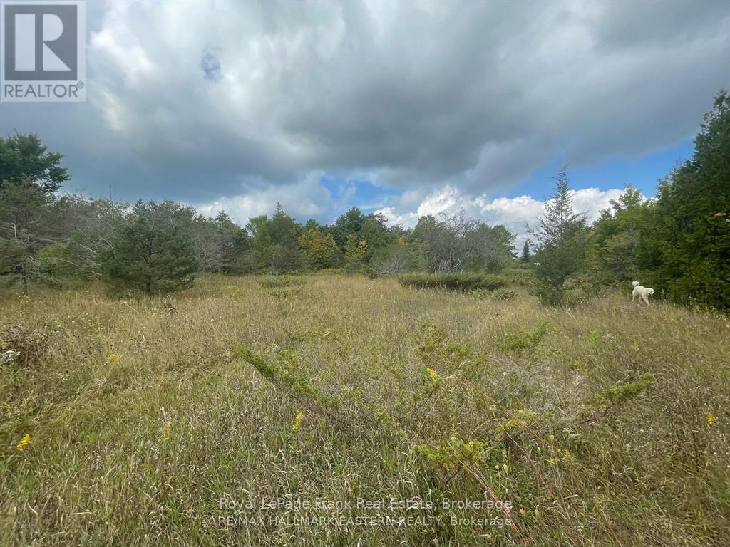 00 Adams-Cummings Road, Trent Lakes, Ontario  K0L 2J0 - Photo 4 - X13419516