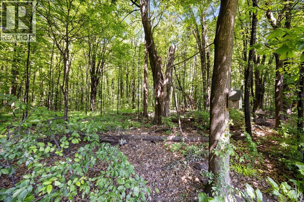 385 Bel Air Circle, Lakeshore, Ontario  N8N 5H4 - Photo 29 - 26013540