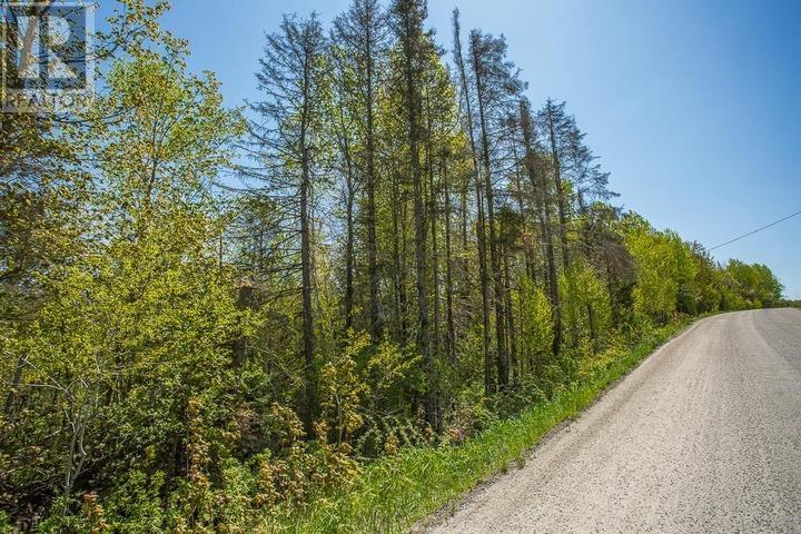 Highway 17 East At Hopper Road, Thessalon, Ontario P0R 1L0 - Photo 19 - SM261325