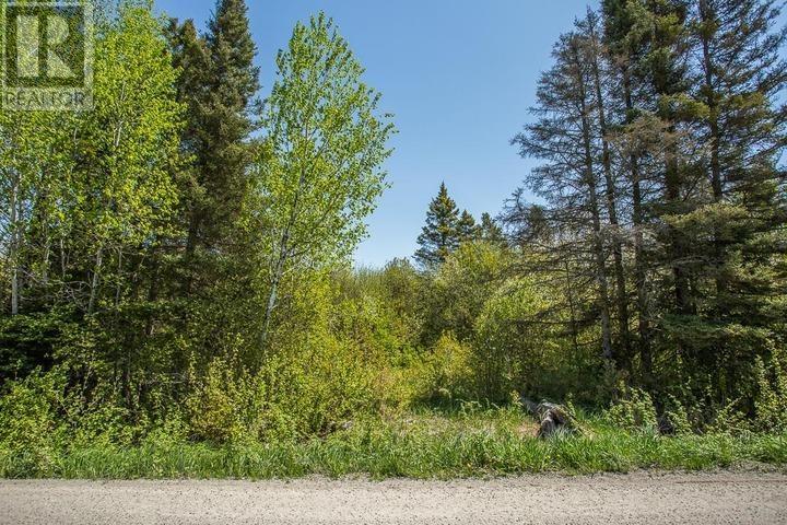 Highway 17 East At Hopper Road, Thessalon, Ontario P0R 1L0 - Photo 20 - SM261325